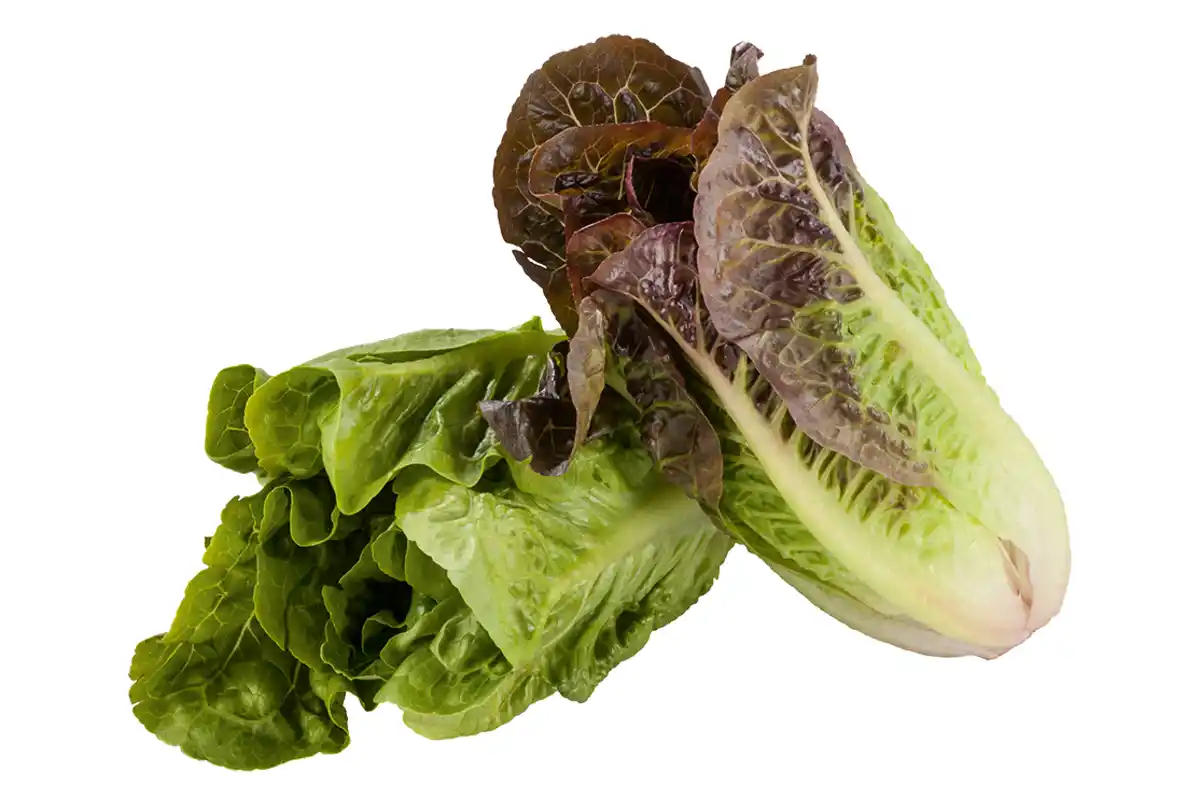 Bild 1 von Salatherzen 2er-Pack