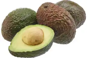 Avocado