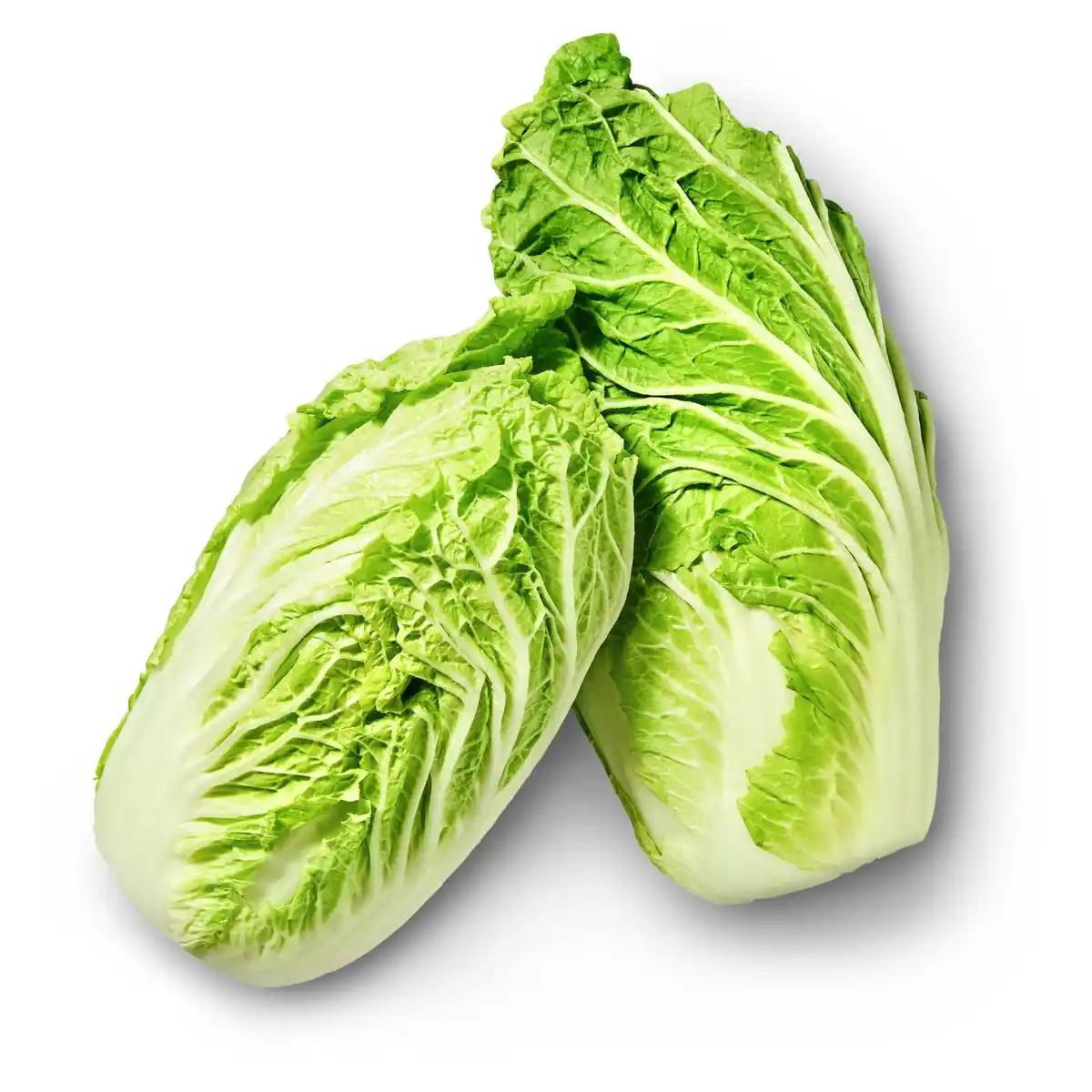 Bild 1 von Dtsch. Chinakohl, lose, kg