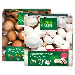 Finest Garden Champignon-Anzuchtset