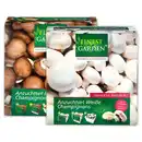 Bild 1 von Finest Garden Champignon-Anzuchtset