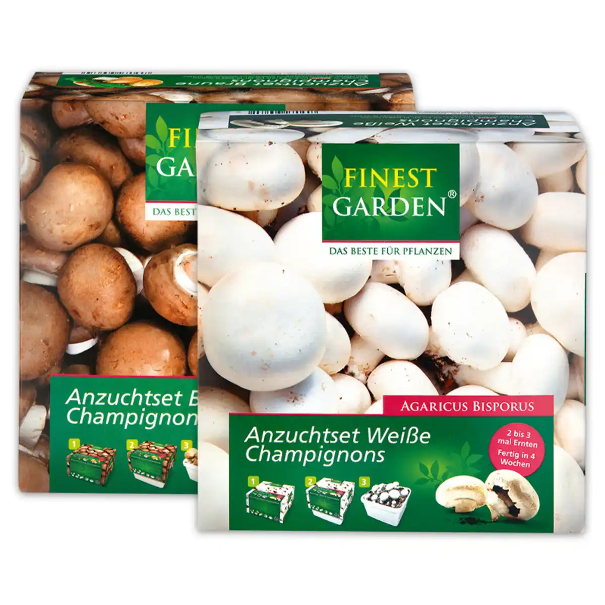 Bild 1 von Finest Garden Champignon-Anzuchtset