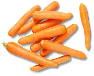 Dtsch. Möhren XXL, 3-kg-Beutel