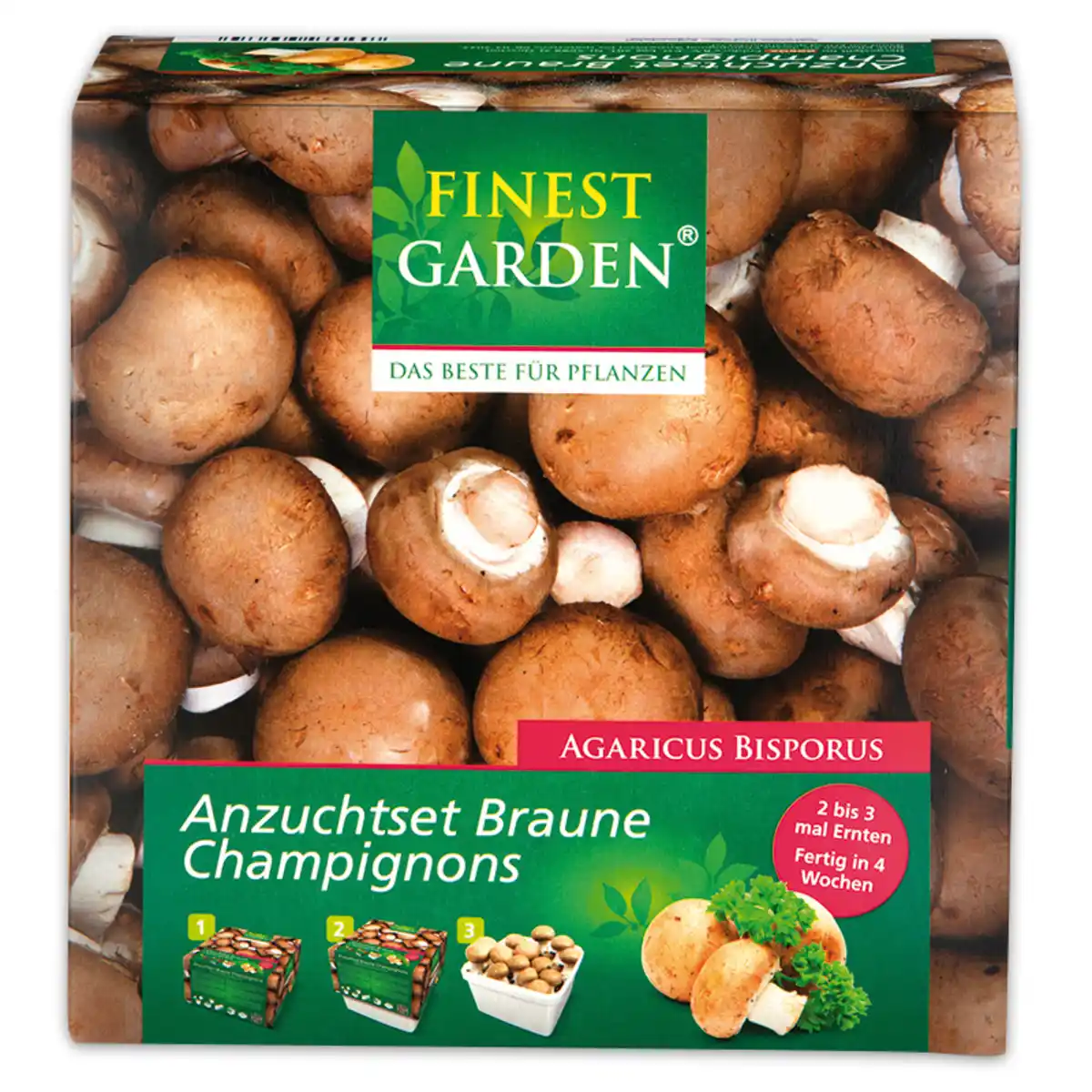 Bild 2 von Finest Garden Champignon-Anzuchtset