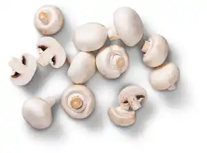 Poln./kroat. Kulturchampignons, weiß, 250-g-Schale