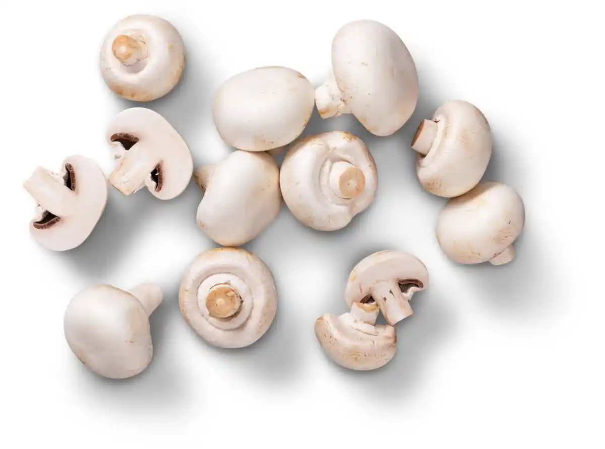 Bild 1 von Poln./kroat. Kulturchampignons, weiß, 250-g-Schale