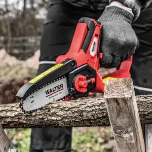 Walter Li-Ion Akku-Entaster 12 V