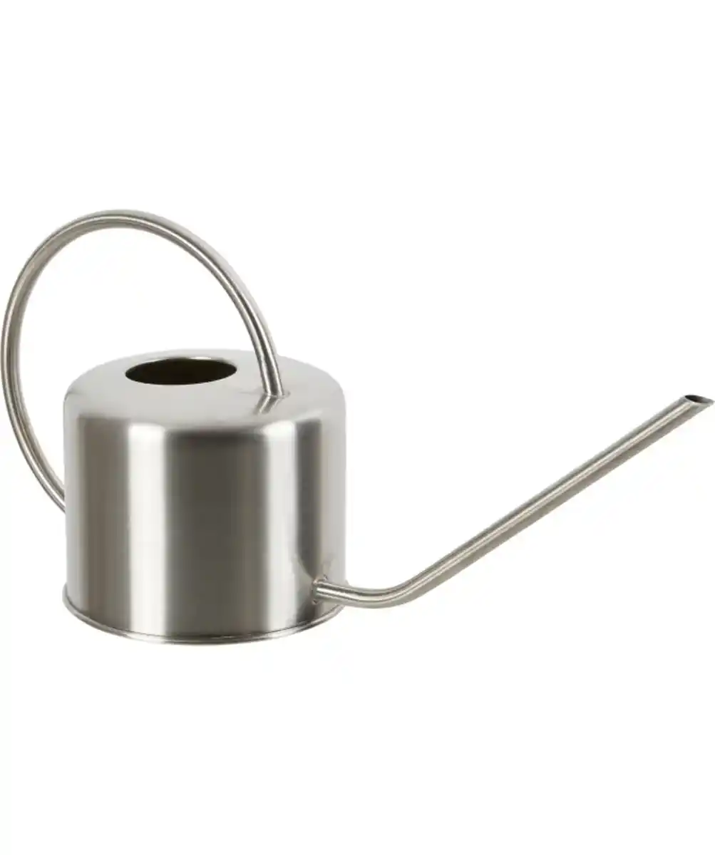Bild 1 von Gießkanne für Zimmerpflanzen, silber