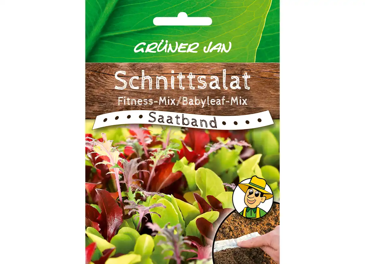 Bild 1 von Grüner Jan Saatband 'Schnittsalat'