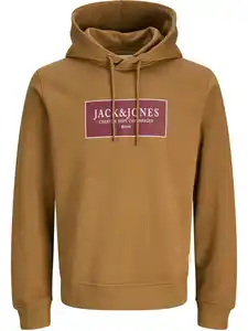 Jack & Jones JORGREENE SWEAT Hoodie Braun