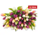 Bild 1 von Tulpen Hot & Fresh im Bund*