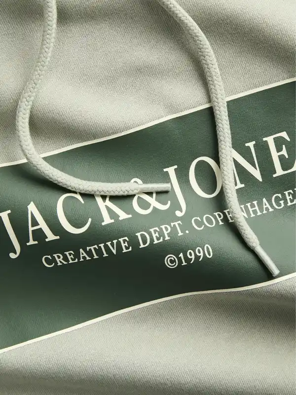 Bild 3 von Jack & Jones JORGREENE SWEAT Hoodie Grün
