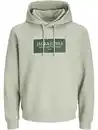 Bild 1 von Jack & Jones JORGREENE SWEAT Hoodie Grün