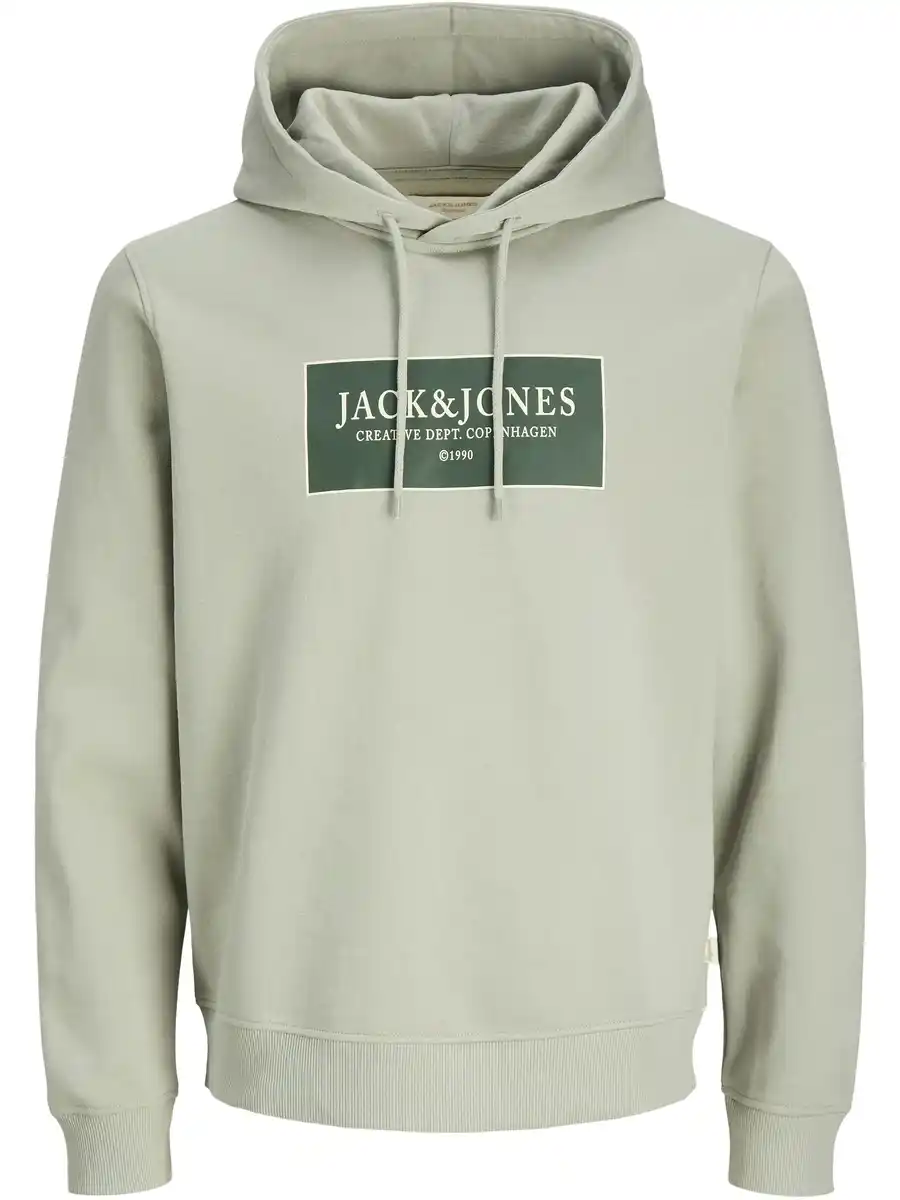 Bild 1 von Jack & Jones JORGREENE SWEAT Hoodie Grün