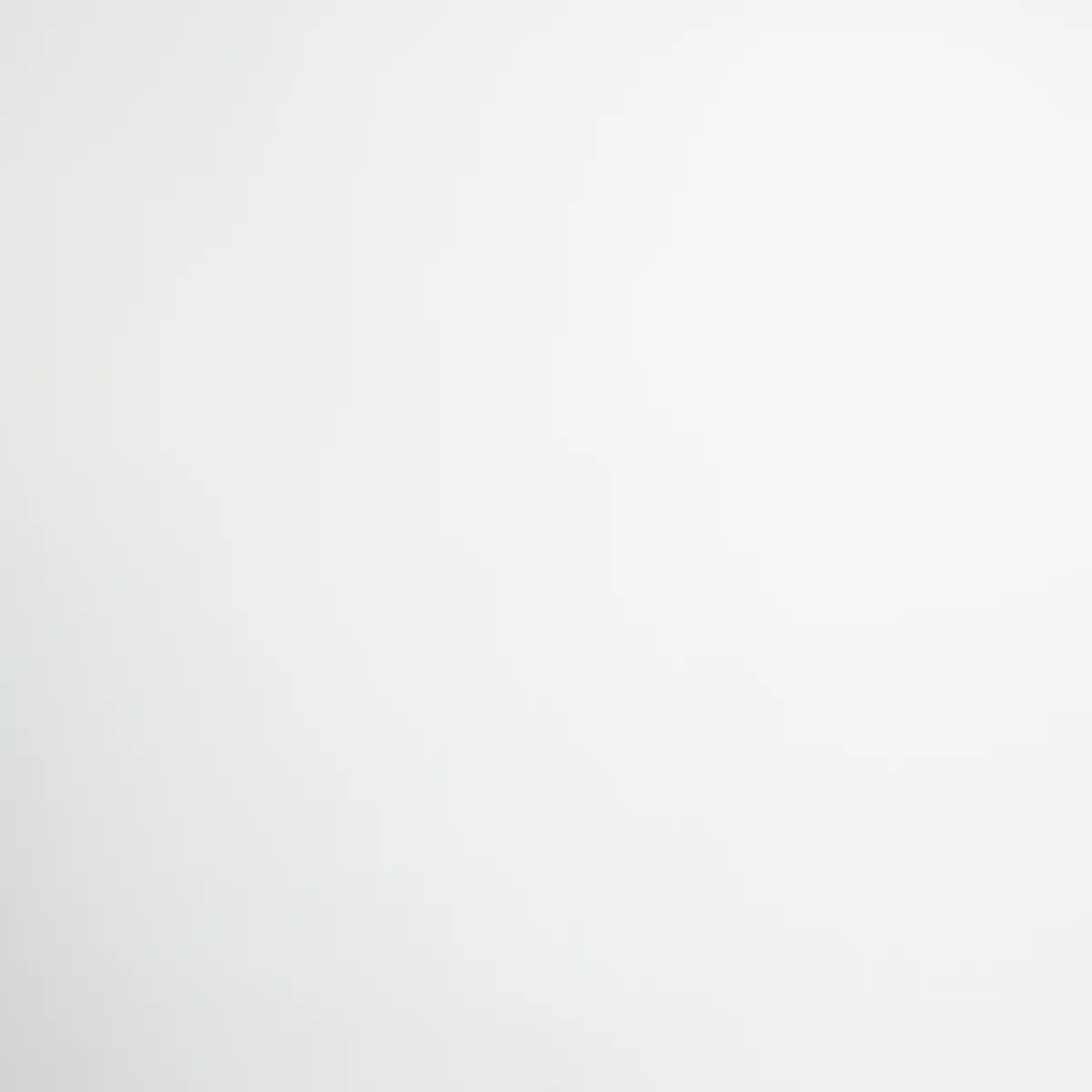 Bild 1 von d-c-fix Glasfolie 'Frost' 45 x 150 cm