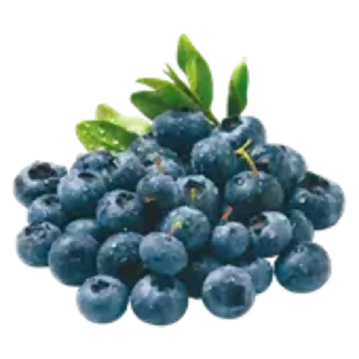 Bild 1 von Heidelbeeren