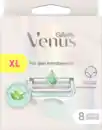 Bild 1 von Gillette Venus Rasierklingen für den Intimbereich, Aloe Vera, 8 St