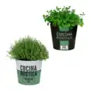 Bild 1 von GARDENLINE Italienische Kräuter