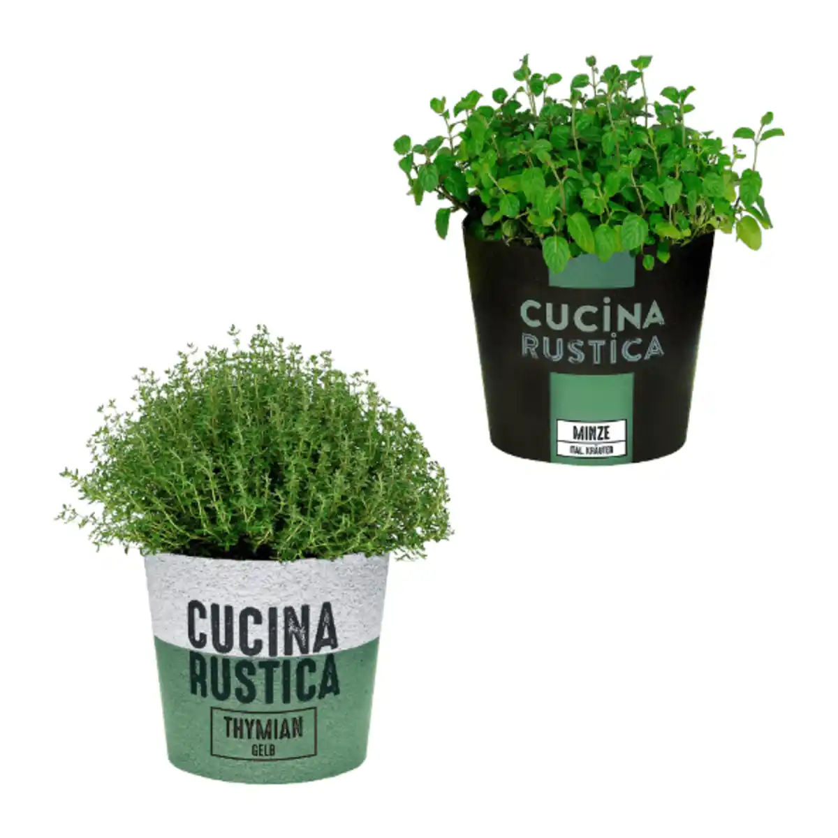 Bild 1 von GARDENLINE Italienische Kräuter