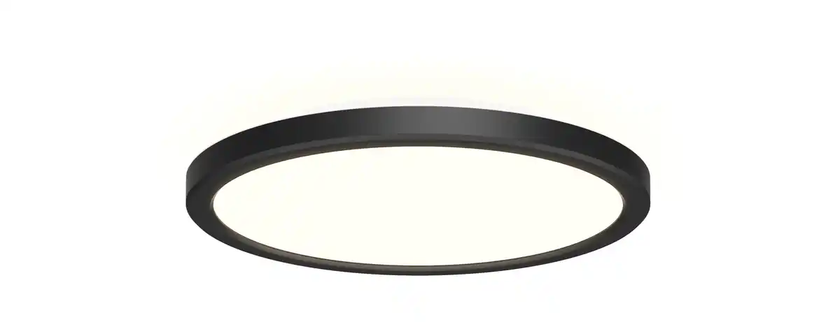 Bild 1 von LED Deckenleuchte Edita mit Bewegungsmelder schwarz-weiß Ø 24 x 3 cm warmweiß