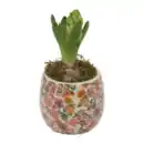 Bild 2 von GARDENLINE Hyazinte