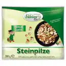 Bild 2 von Niklas Pilze