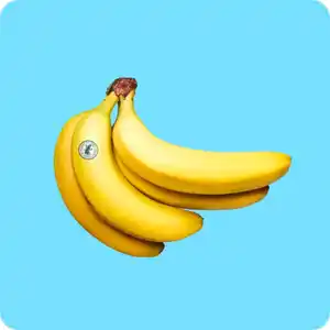   Rainforest Alliance Bananen, Ursprung: Ecuador / Costa Rica / Guatemala / Kolumbien