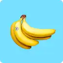 Bild 1 von   Rainforest Alliance Bananen, Ursprung: Ecuador / Costa Rica / Guatemala / Kolumbien