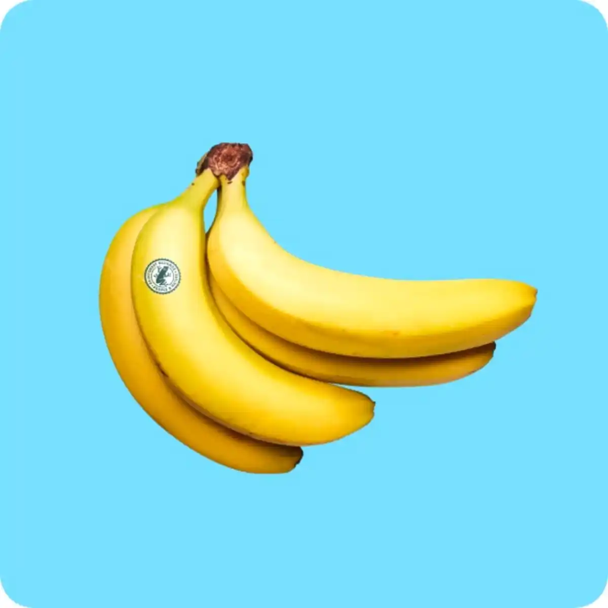 Bild 1 von   Rainforest Alliance Bananen, Ursprung: Ecuador / Costa Rica / Guatemala / Kolumbien