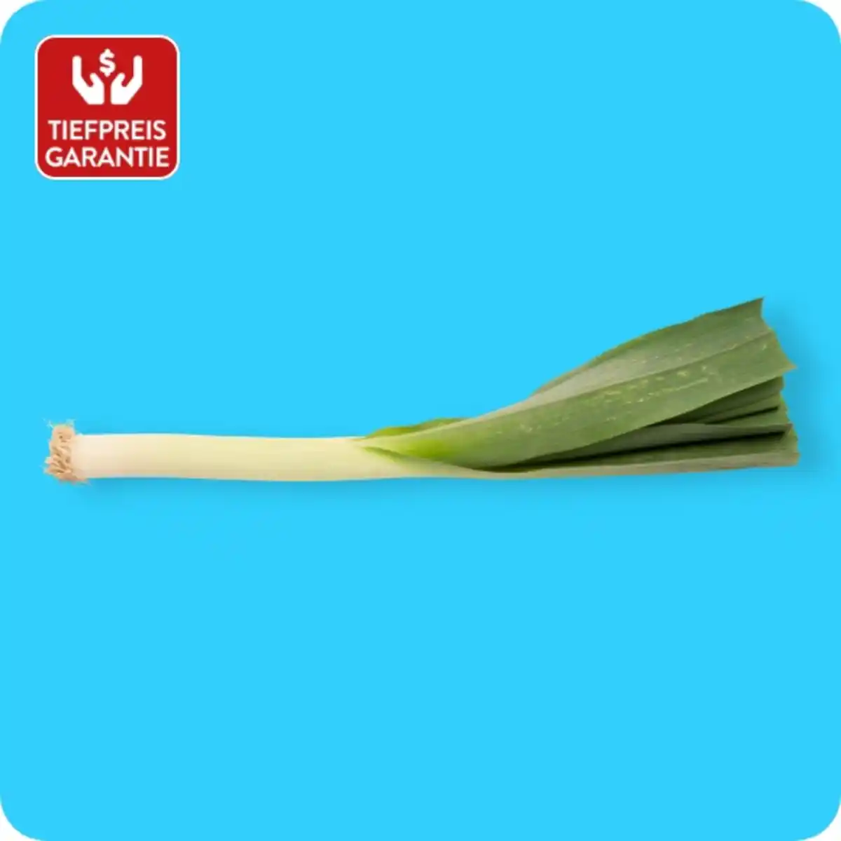 Bild 1 von   Porree / Lauch, Ursprung: Deutschland