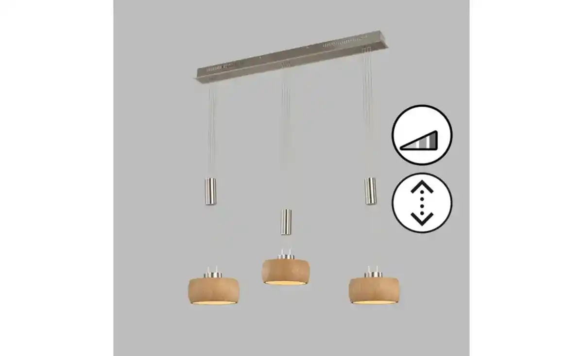 Bild 2 von Fischer-Honsel Pendelleuchte