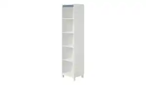 PAIDI Standregal Olli