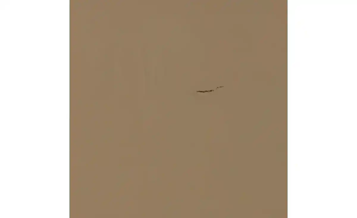 Bild 4 von WOOOD Buchstütze