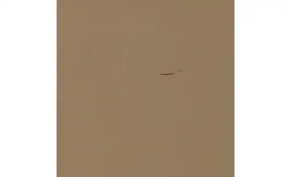 Bild 4 von WOOOD Buchstütze