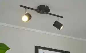 Paul Neuhaus Deckenstrahler, 2-flammig, schwarz