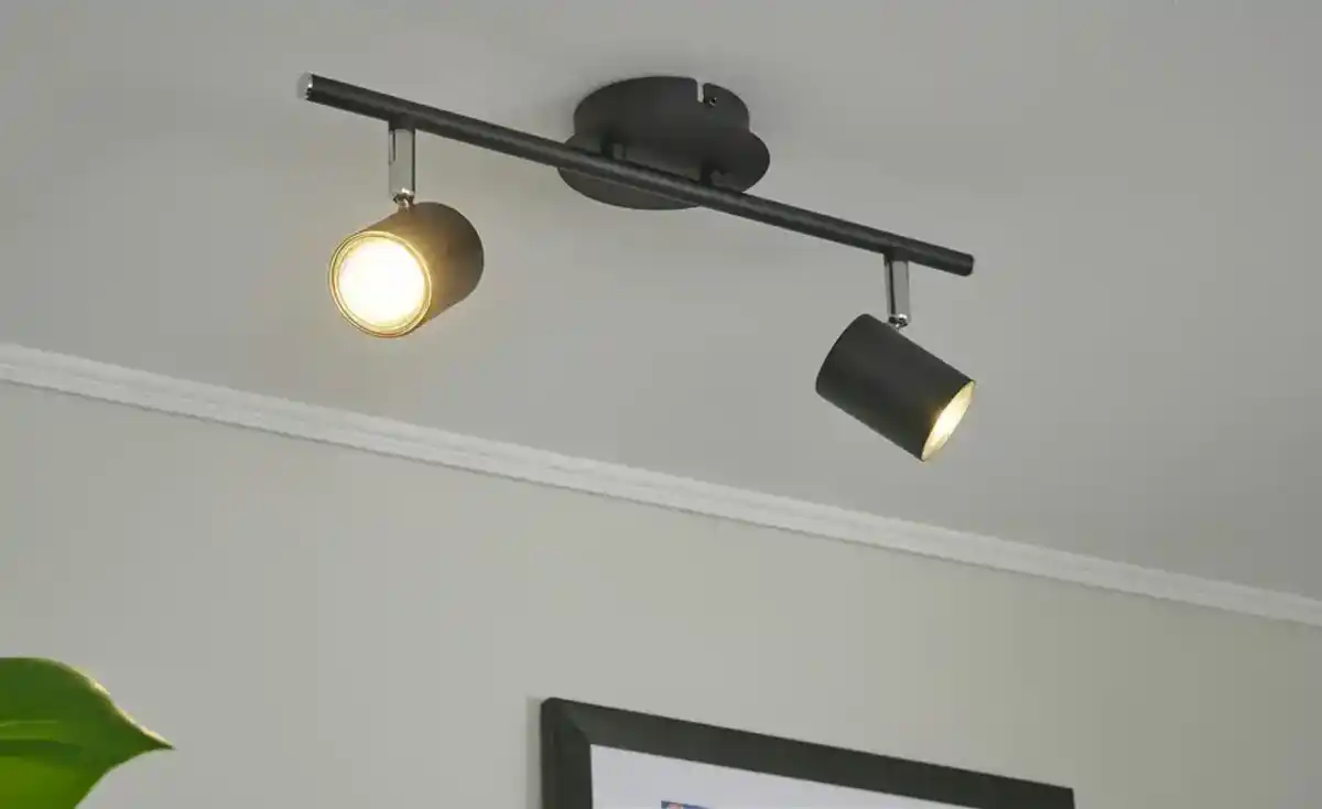 Bild 1 von Paul Neuhaus Deckenstrahler, 2-flammig, schwarz