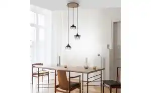 Paul Neuhaus Pendelleuchte