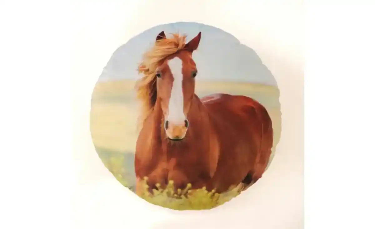 Bild 3 von Herding Kissen Pferd