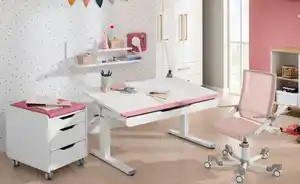 PAIDI Schreibtisch Teenio