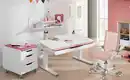 Bild 1 von PAIDI Schreibtisch Teenio