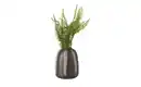 Bild 3 von HOME STORY Vase