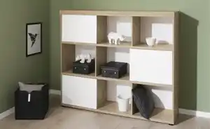 PAIDI Standregal Fionn