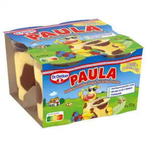 Dr. Oetker Paula Pudding Vanille mit Schoko-Flecken 4x125g
