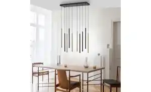 Paul Neuhaus Pendelleuchte