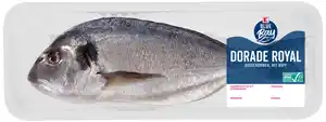 K-BLUE BAY Dorade Royal, kg