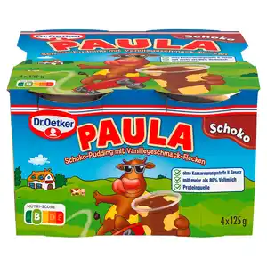 DR. OETKER Paula Pudding 4 x 125 g, Schokolade