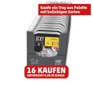 LUCKY CAT Schalenmenü Pastete, in Sauce oder Gelee