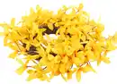 Bild 1 von Forsythienkranz aus Weide und Kunststoff