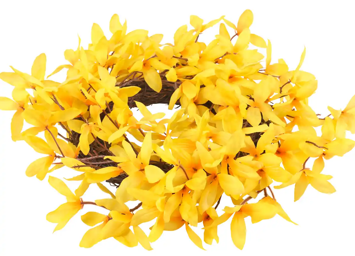 Bild 1 von Forsythienkranz aus Weide und Kunststoff
