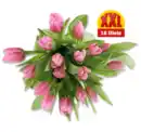 Bild 1 von Tulpen Multipack*